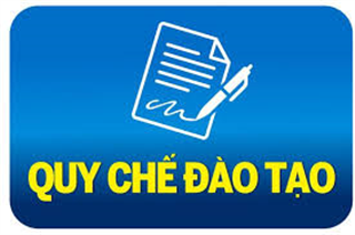 x50quy chế